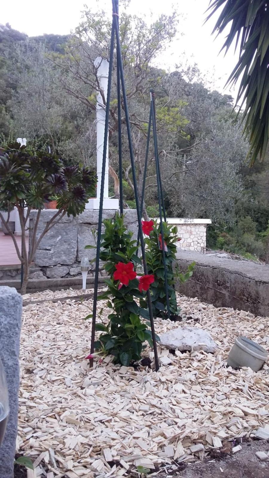 Apartment Nadine Mljet Mit Meerblick Okuklje Exterior foto